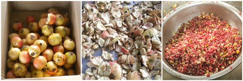 pomegranate peeler thresher