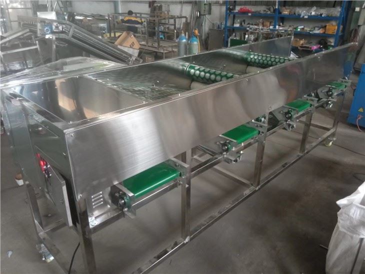 Automatic Onion Grading Machine