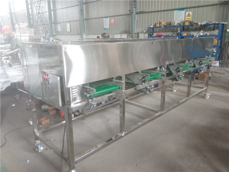 Automatic Onion Grading Machine