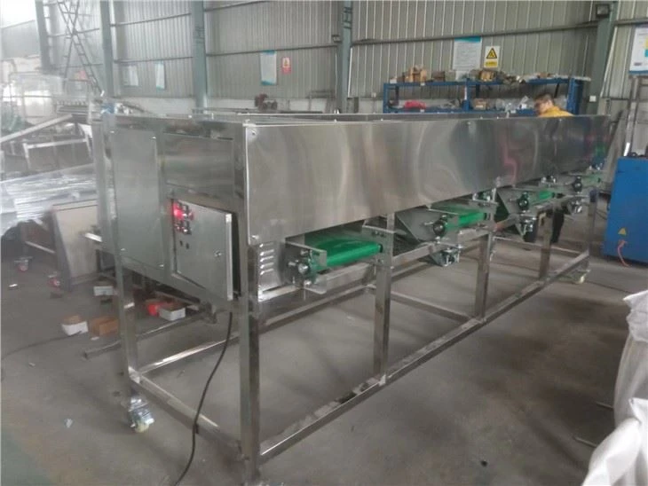 Automatic Onion Grading Machine