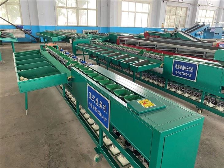 Avocado Dragon Fruit Sorting Machine high quality
