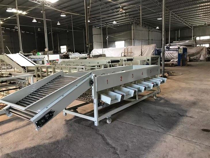 Tomato Fruit Sorting Machine high quality