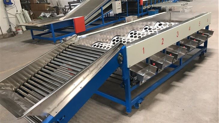 Tomato Fruit Sorting Machine price